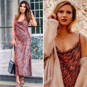 Anthropologie Zebra Print Midi Dress - Black and Brown